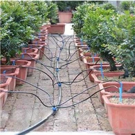 Irrigação por seta de gotejamento