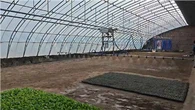 High Quality Greenhouse Irrigation System For Growing Seedlings